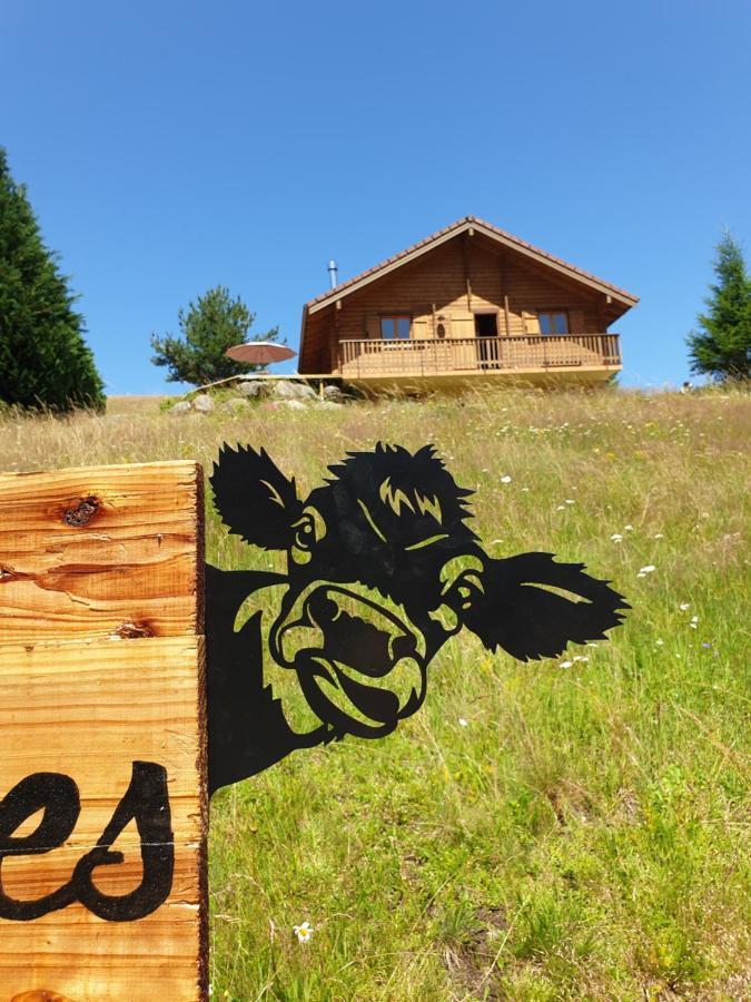 Chalet Les Vosgiennes Le Valtin Zewnętrze zdjęcie