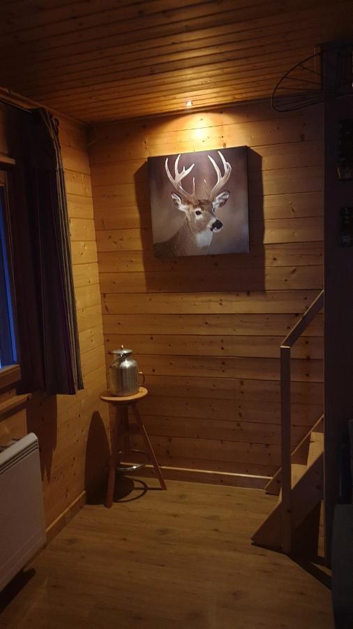 Chalet Les Vosgiennes Le Valtin Zewnętrze zdjęcie