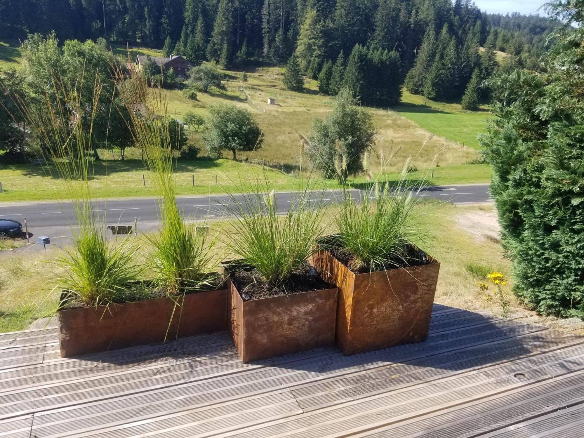 Chalet Les Vosgiennes Le Valtin Zewnętrze zdjęcie